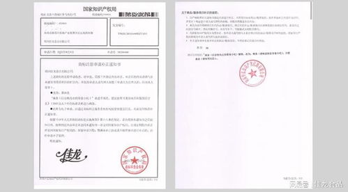 从“辣条之光”到行业标杆 佳龙食品的创新与匠心挑战